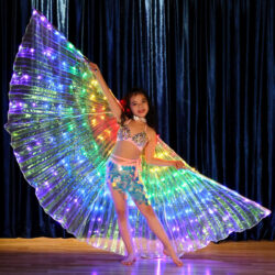 Featured image for 'LED light wings'