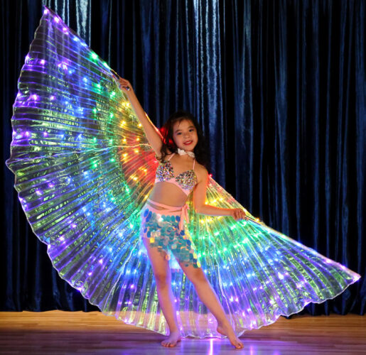 LED light wings